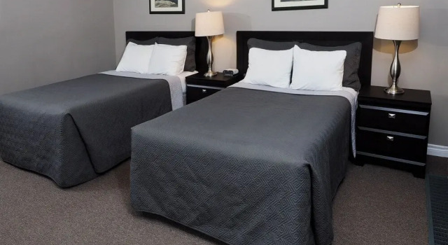 Номер Standard Ambassador Motel