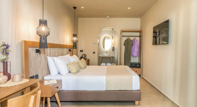 Номер Standard Hotel Pyriá