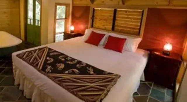 Rainforest Ranch