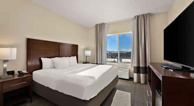 Двухместный люкс Comfort Inn & Suites Airport Convention Center