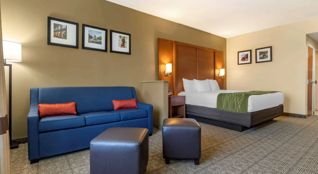 Двухместный люкс Comfort Inn & Suites Orangeburg
