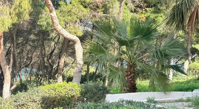 Номер Standard Sounio Golden View Villas
