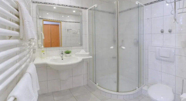 Трёхместный номер Standard Landhotel Zur Eiche
