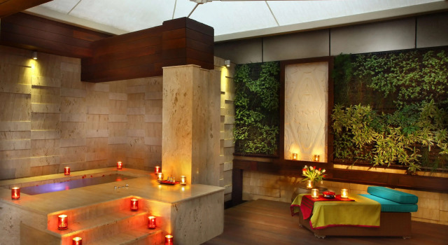 Люкс Presidential Park Plaza Delhi CBD Shahdara