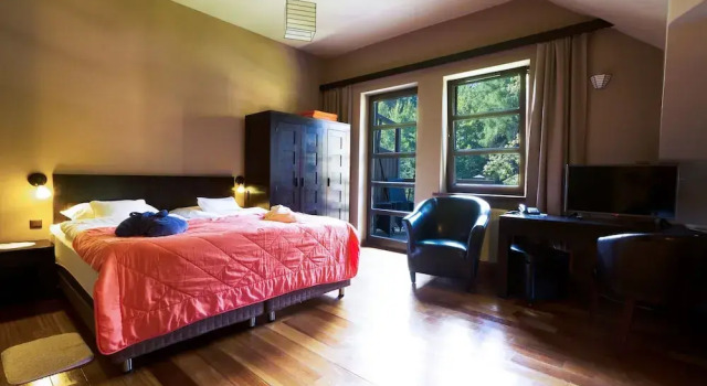 Двухместный номер Standard с видом на горы Boutique Hotel Sudetia - Medical & SPA