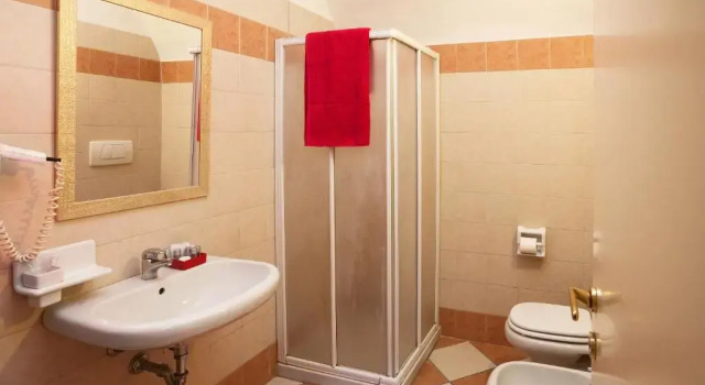 Одноместный номер Standard Hotel Antica Fonte