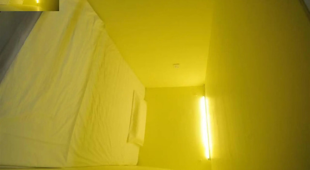 Postel ve společném pokoji pro ženy Wanderer Inn
