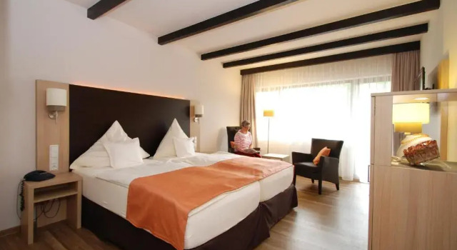 Номер Comfort Hotel Steuer