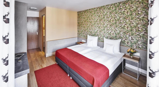 Двухместный номер Comfort Hirsch Hotel