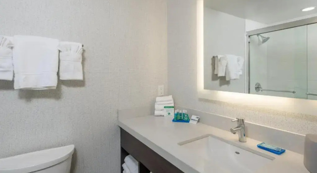 Номер Standard Holiday Inn Express - Sunnyvale - Silicon Valley by IHG
