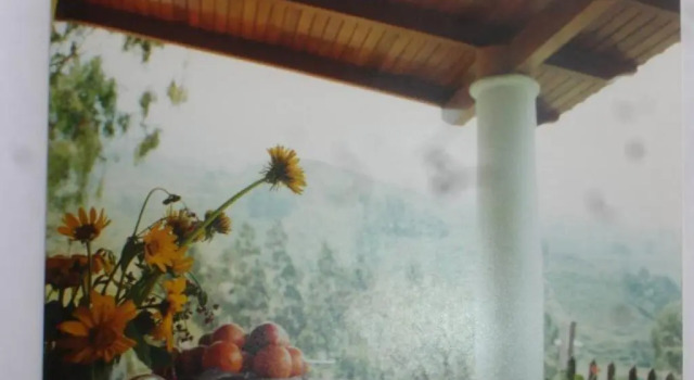 Коттедж Swiss Chalet with Private Kitchen near Lima
