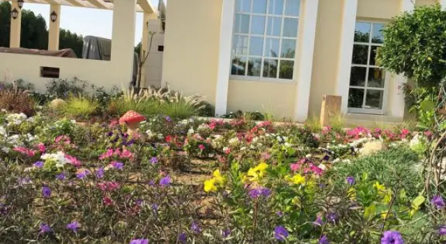 Коттедж Al Ghoroub Farm Stay - مزرعة الغروب للإيجار اليومي