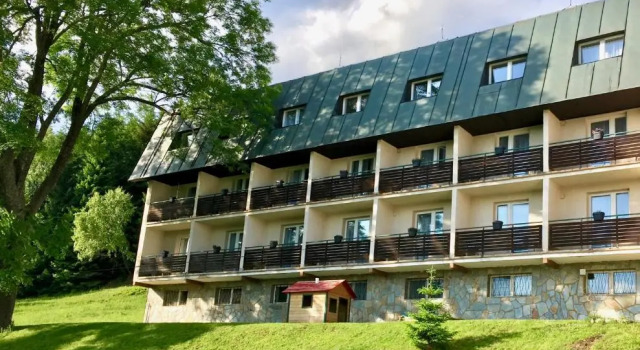 Двухместный номер Economy Hotel Horní Pramen