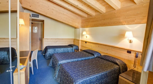 Номер Standard Hotel Garni Pegrà