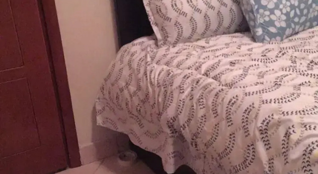 Номер Standard 251 Budget Guest House