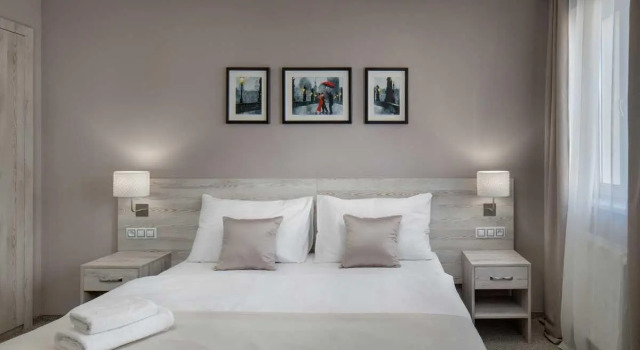 Habitación Estándar Hotel Florenc