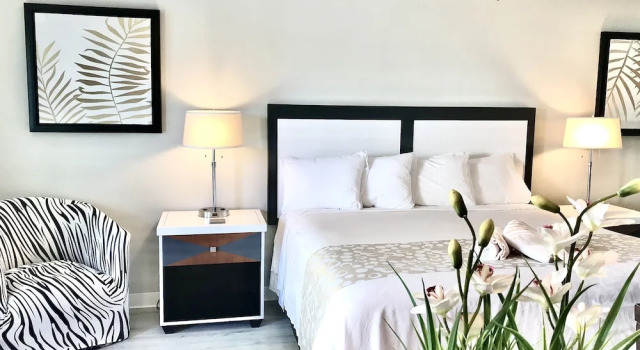 Студия Organic Beach Retreat