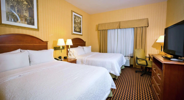 Четырёхместный номер Standard Hampton Inn & Suites Sacramento-Cal Expo