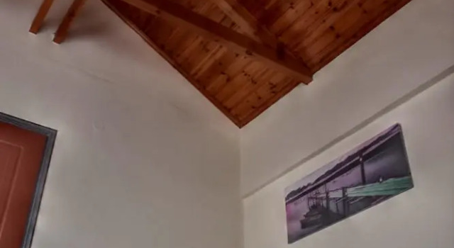 Номер Standard Пентхаус c 1 комнатой с балконом и с видом на город Cozy Loft