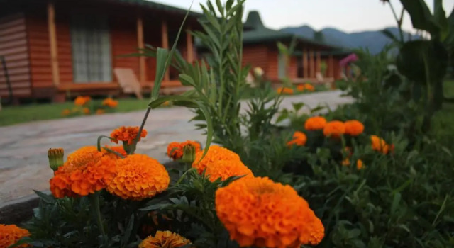 Бунгало с 2 комнатами Cirali Armira Bungalow