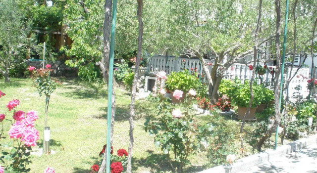 Двухместный номер Standard с балконом Apartmani i sobe Mara