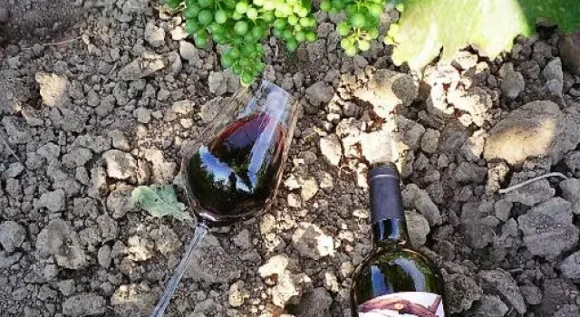 Номер Deluxe Weinhaus Eva-Maria Wagner