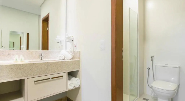 Номер Premium Vinhedo Plaza Hotel