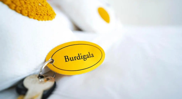 Номер Superior La Maison Galiène - Bed and Breakfast