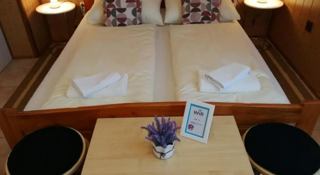 Двухместный номер Standard Guesthouse Šebalj
