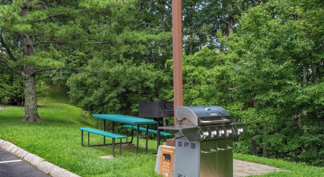 Tucked Inn 2101 by Jackson Mountain Rentals