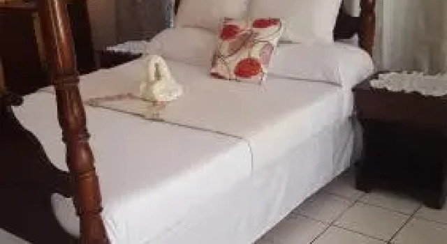 Palm Tree Guest House, Prenota Affittacamere Green Island Hanover