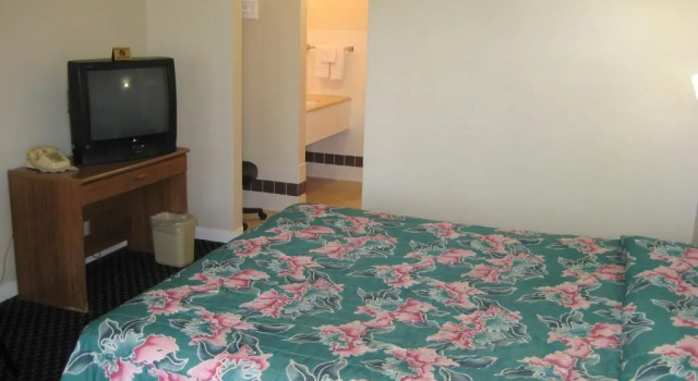 Номер Standard Hollywood La Brea Inn
