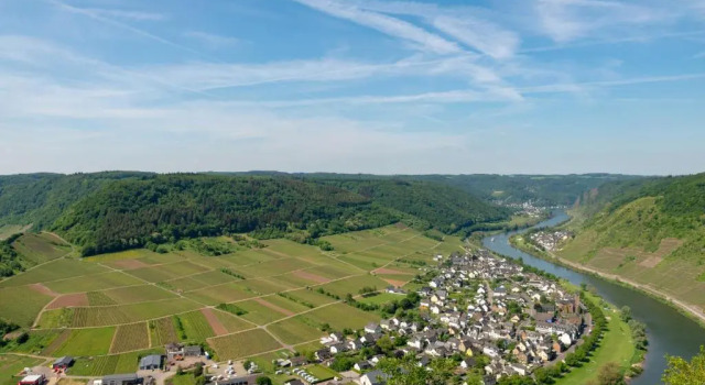 Апартаменты Ferienweingut Gansen Hochgenuss 2