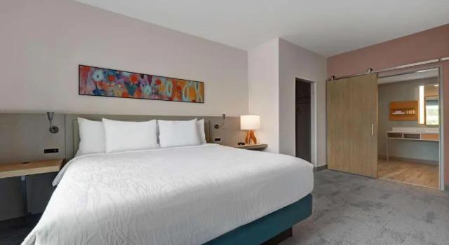 Люкс Hilton Garden Inn Manassas