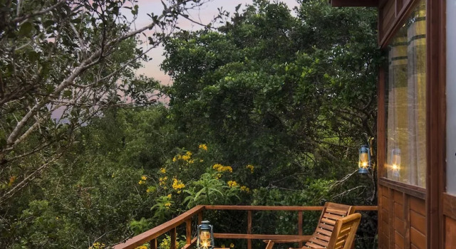 Номер Standard Leopard Nest in Yala