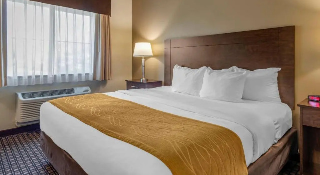 Номер Standard Comfort Inn & Suites Barnesville - Frackville