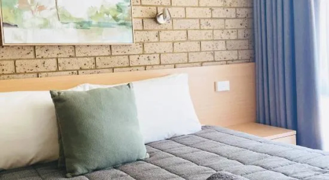 Номер Superior Muswellbrook Motor Inn