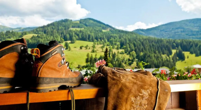 Апартаменты Alpine Spa Residence