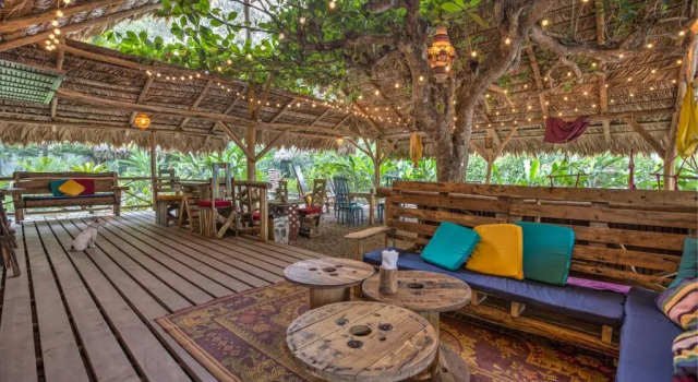 Luksusowy dwuosobowy pokój Playa 506 Beachfront Hostel