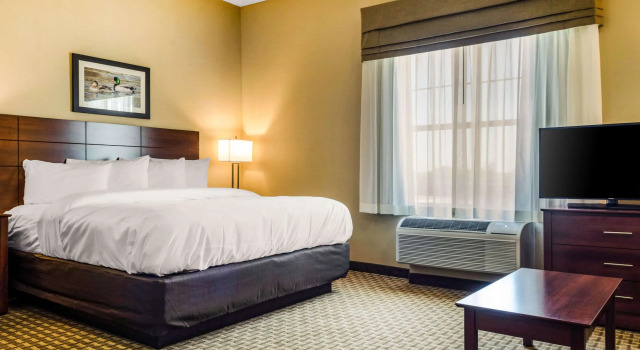 Двухместный люкс MainStay Suites Hackberry Sportsmans Lodge