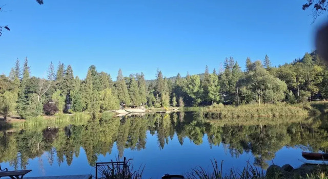 Коттедж 1BR Dog-friendly Lakefront Cabin w/ Canoes
