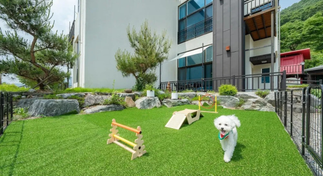 Номер Standard Gapyeong Chagall Spa Pension
