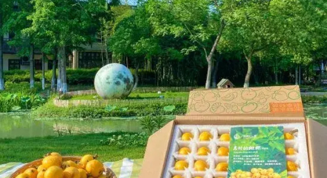 Arcadia Village Hotel, Varaa Hotelli Wuzhen Jiaxing