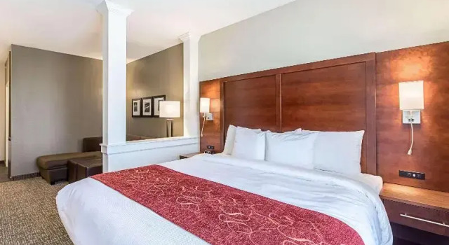 Люкс Standard Comfort Suites Kyle