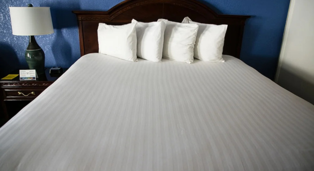 Двухместный номер Standard Anaheim Carriage Inn