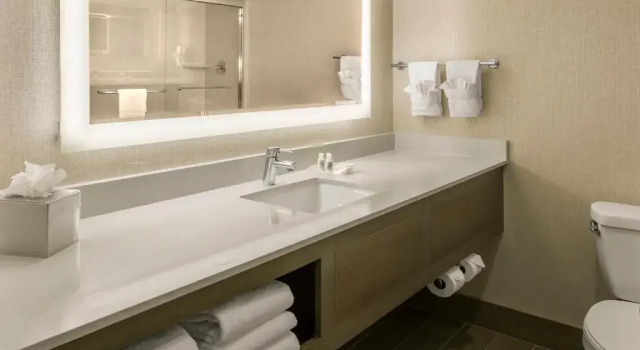Номер Standard Holiday Inn Denver Lakewood by IHG