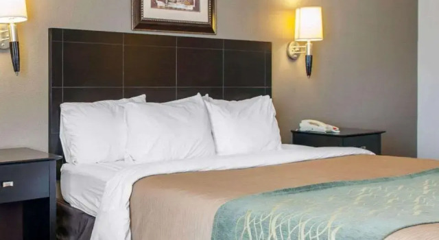 Номер Standard Comfort Inn