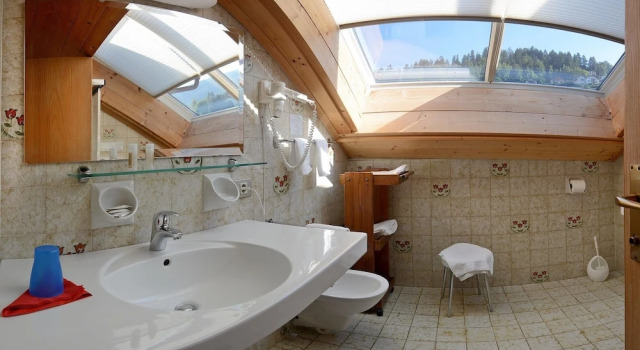 Номер Standard Hotel Garni Snaltnerhof