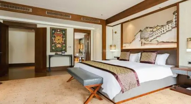 Люкс V-CONTINENT Nyingchi Hotel