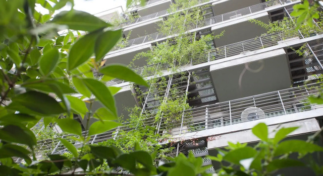 Palo Santo Hotel, Book Hotel Palermo Buenos Aires